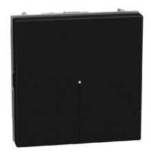 Light Now - переключатель Axial 2 модуля, цвет черный - YD4053M2A