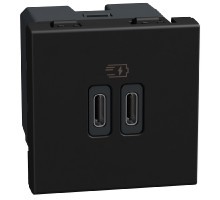 Light Now - двойная USB розетка, 2 x Type-C 30W, 2 модуля, цвет черный - YD4293CC