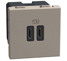 Light Now - двойная USB розетка, 2 x Type-C 30W, 2 модуля, цвет камень - YG4293CC
