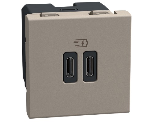 Light Now - двойная USB розетка, 2 x Type-C 30W, 2 модуля, цвет камень - YG4293CC