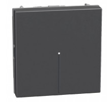 Light Now - выключатель Axial 2 модуля, цвет черный - YD4051M2A