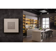 Light Now - розетка с крышкой 2К+З, цвет камень - YG4141P