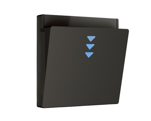 W1163108 Накладка для электронного карточного выключателя (черный) a062006 4690389190292