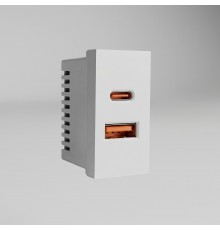 W1272701 Модульная розетка USB тип A+C 45*22,5 (белый)