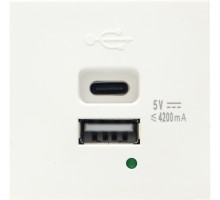 USB зарядное устройство, 4.2A , Type A + C, 2 мод., бел. (45х45мм)