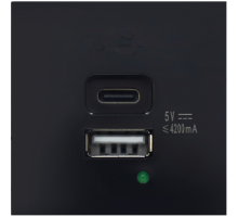 USB зарядное устройство, 4.2A , Type A + C, 2 мод., черн. (45х45мм)