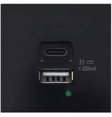 USB зарядное устройство, 4.2A , Type A + C, 2 мод., черн. (45х45мм)