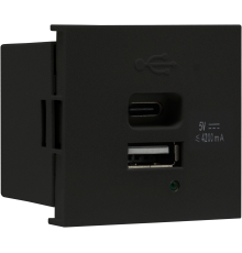 USB зарядное устройство, 4.2A , Type A + C, 2 мод., черн. матовая (45х45мм)